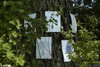 Ausstellung Ansicht, <Seh am See> 2006